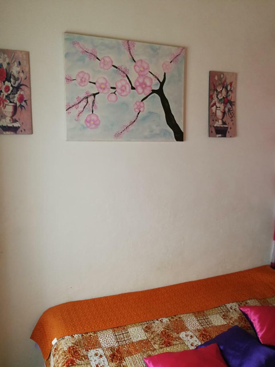 Ala Do Castelo Hotel Lagos Ngoại thất bức ảnh